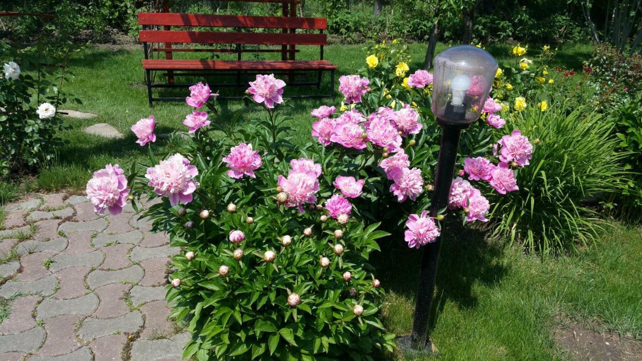 Pension Delia Gardens Тимишоара Екстериор снимка