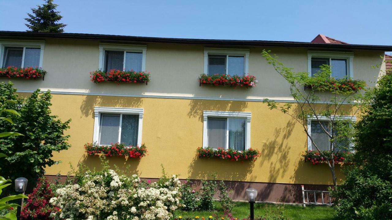 Pension Delia Gardens Тимишоара Екстериор снимка
