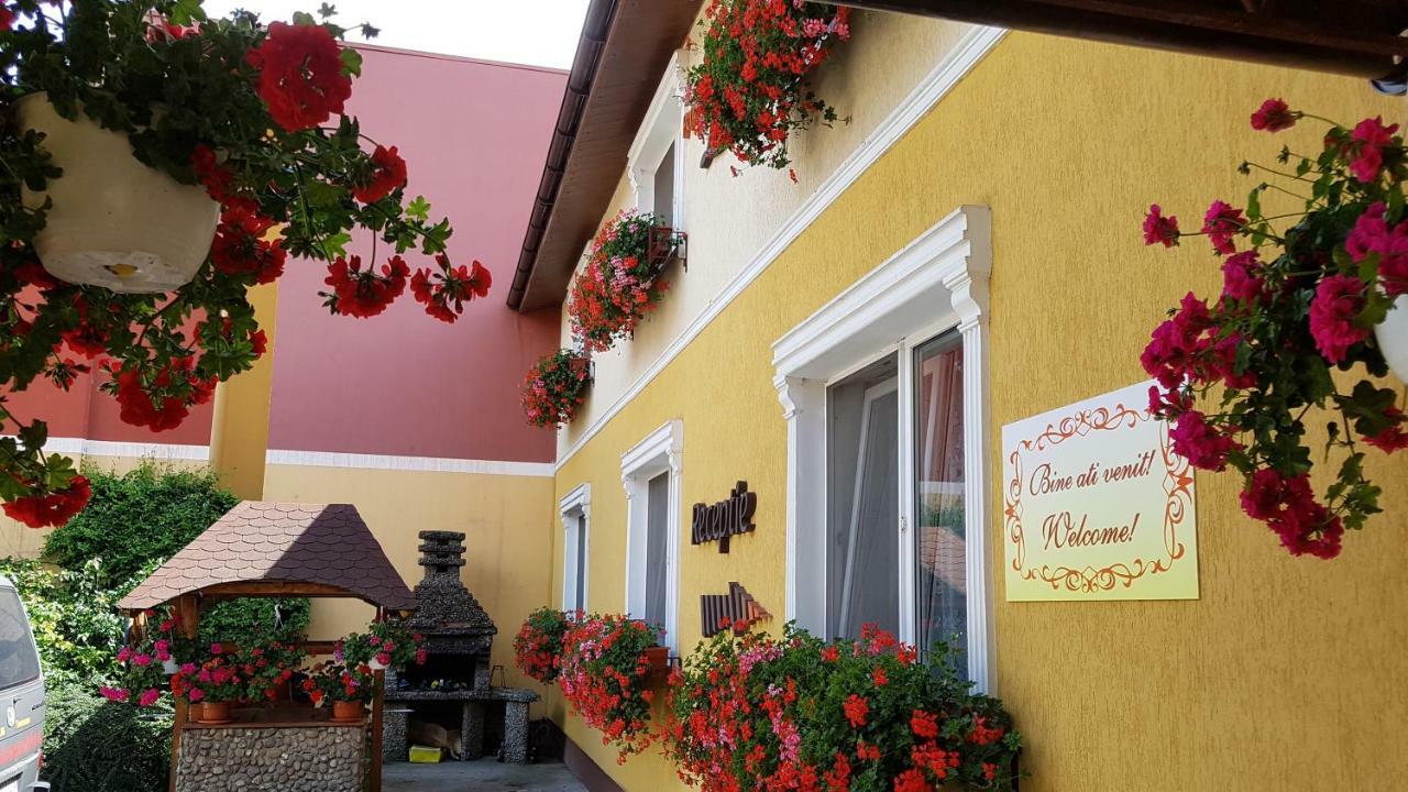 Pension Delia Gardens Тимишоара Екстериор снимка