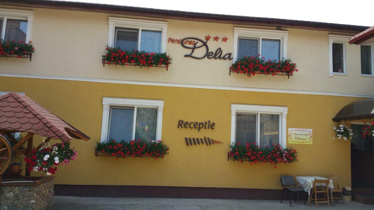 Pension Delia Gardens Тимишоара Екстериор снимка