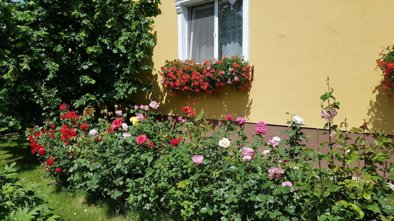 Pension Delia Gardens Тимишоара Екстериор снимка