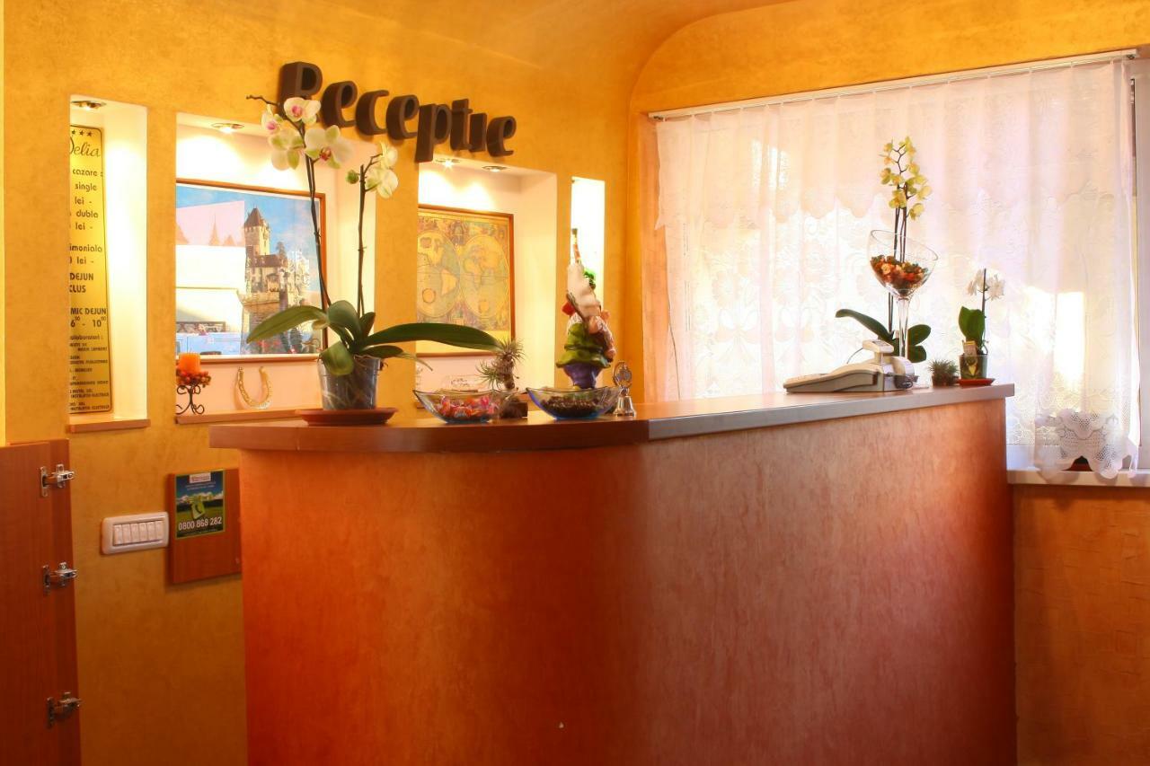 Pension Delia Gardens Тимишоара Екстериор снимка