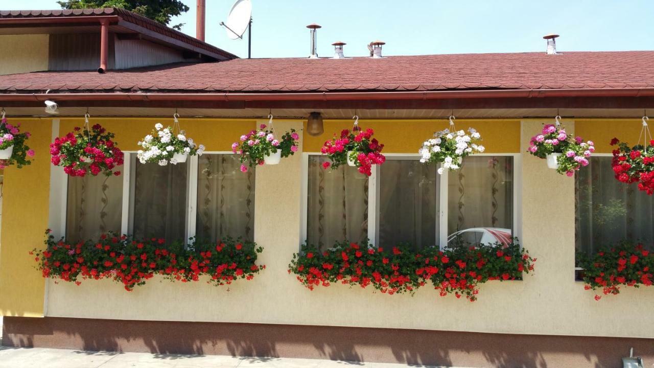 Pension Delia Gardens Тимишоара Екстериор снимка