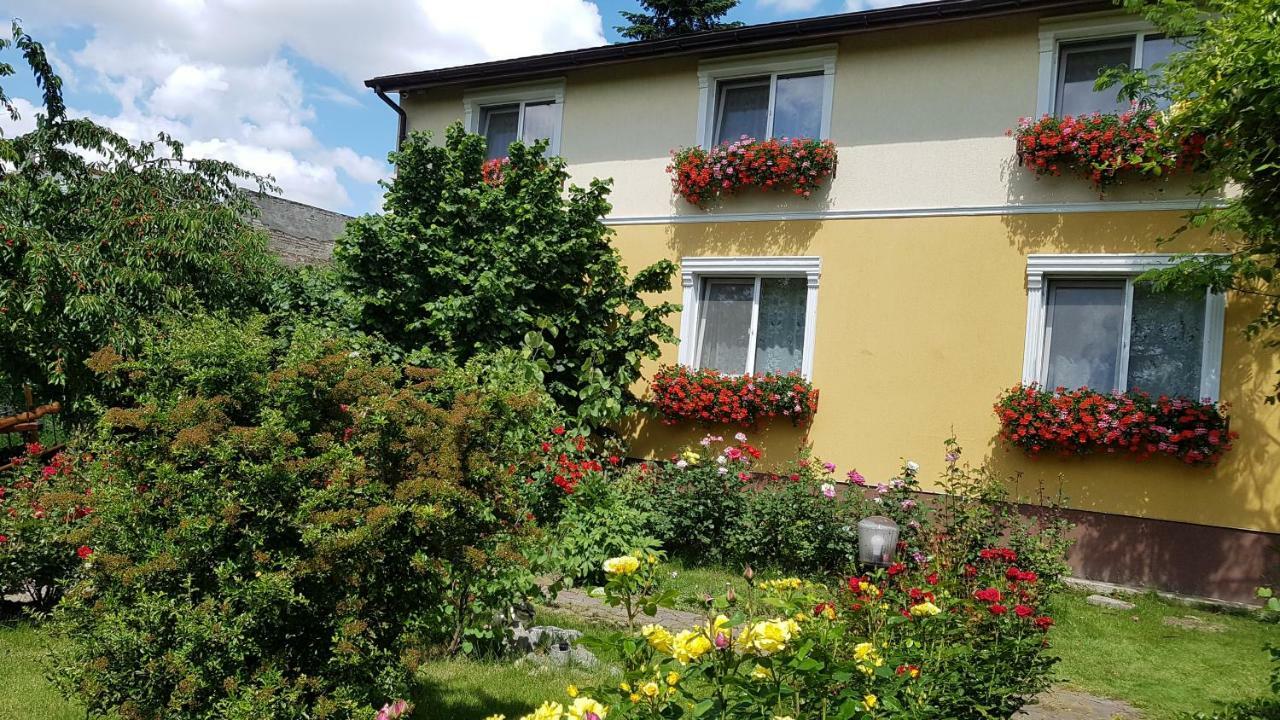 Pension Delia Gardens Тимишоара Екстериор снимка