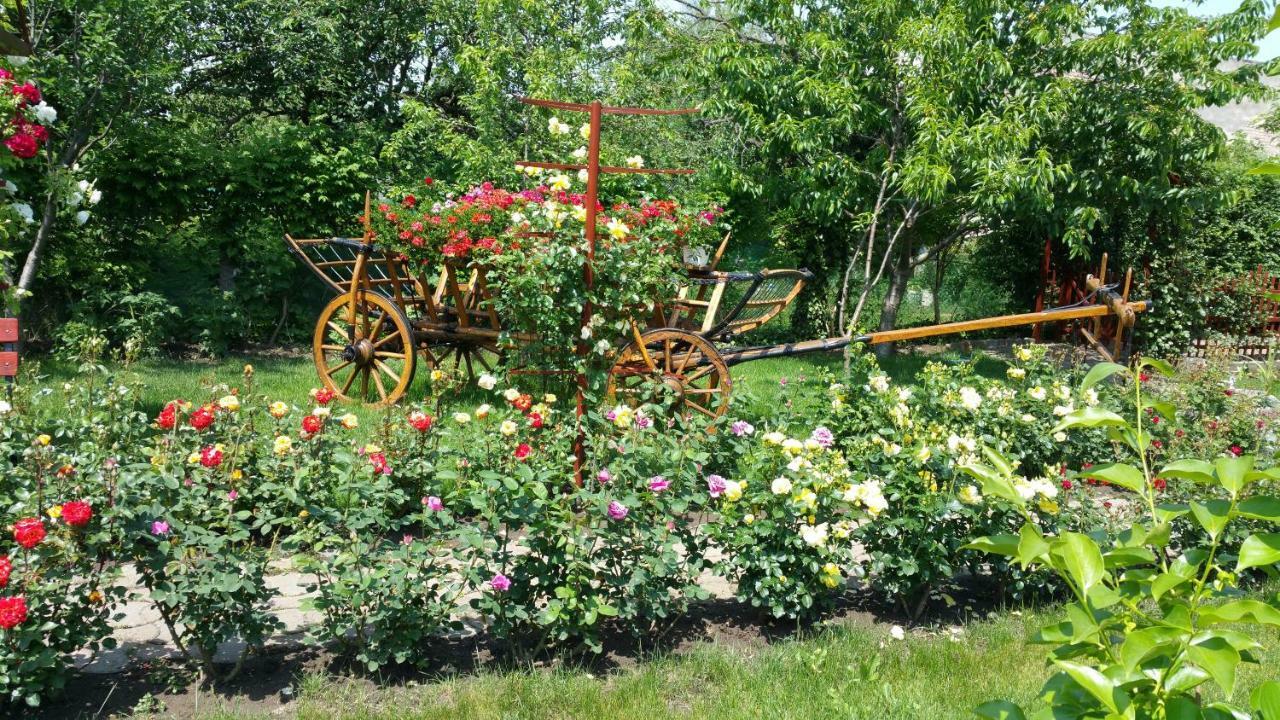 Pension Delia Gardens Тимишоара Екстериор снимка